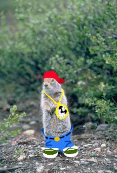Earl the Squirrel